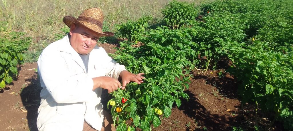 campesino cienfueguero Frank Lima