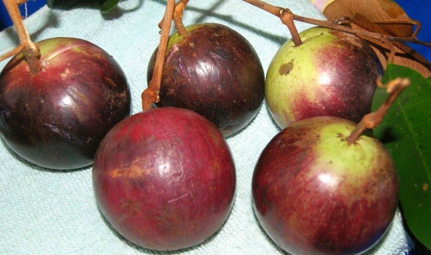 Uno de los jugos más deliciosos que existen
