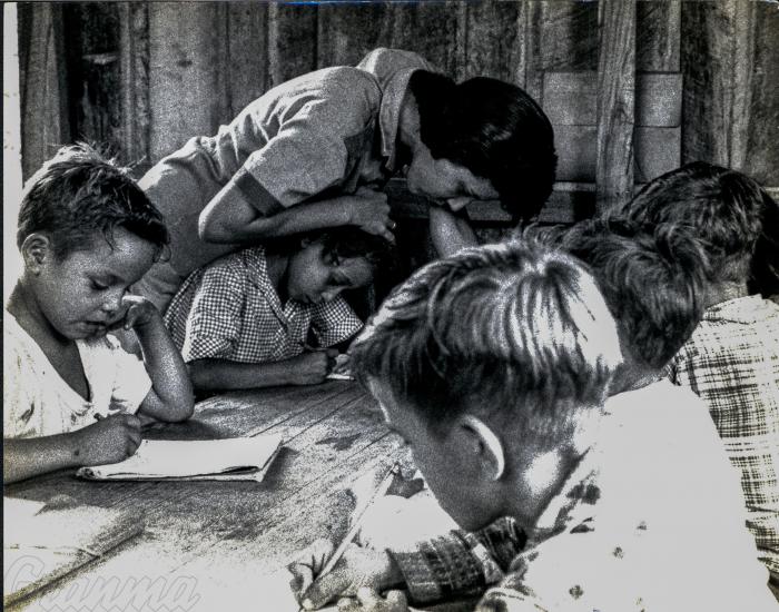 maestros voluntarios