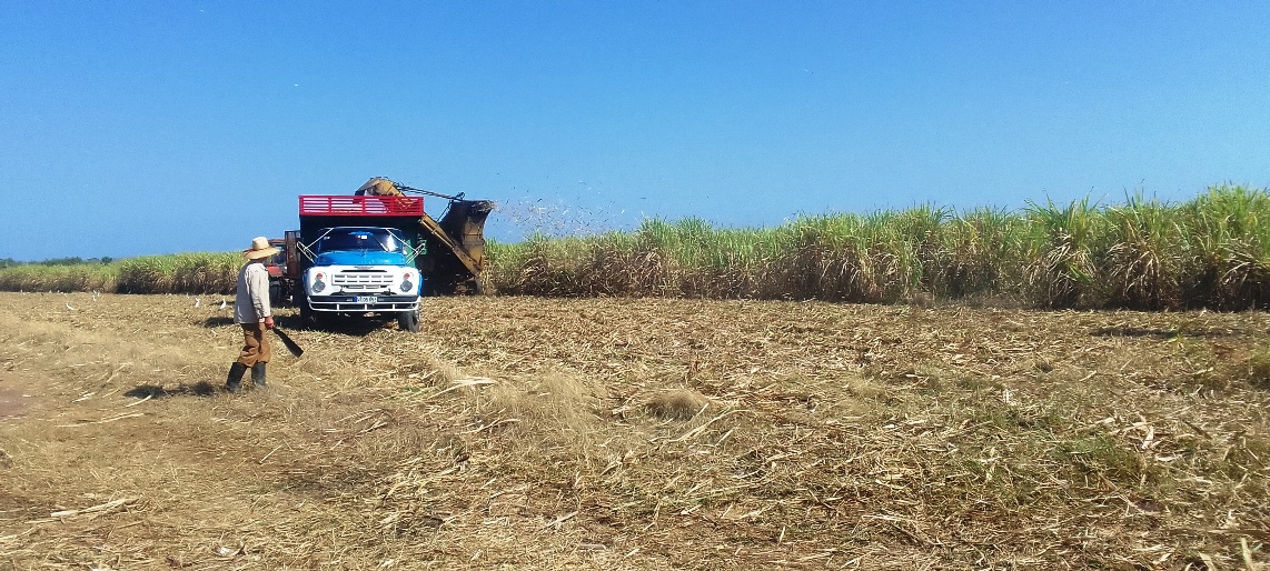 Cooperativa de Cienfuegos “Nicaragua Libre” Vanguardia Nacional