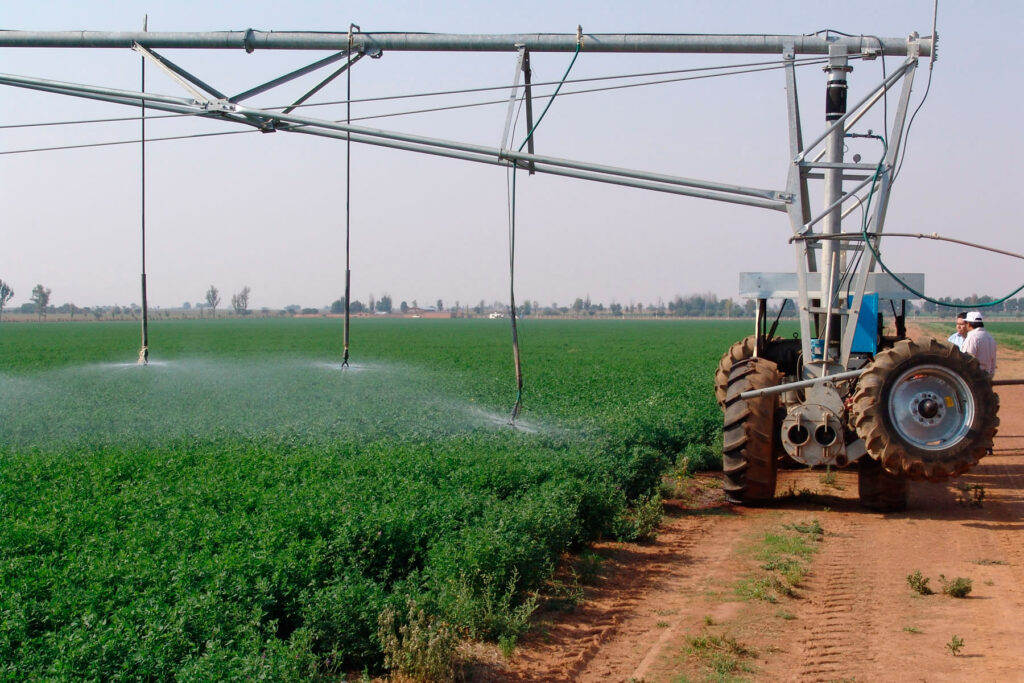 Cooperación italiana beneficia producción agropecuaria en Cuba