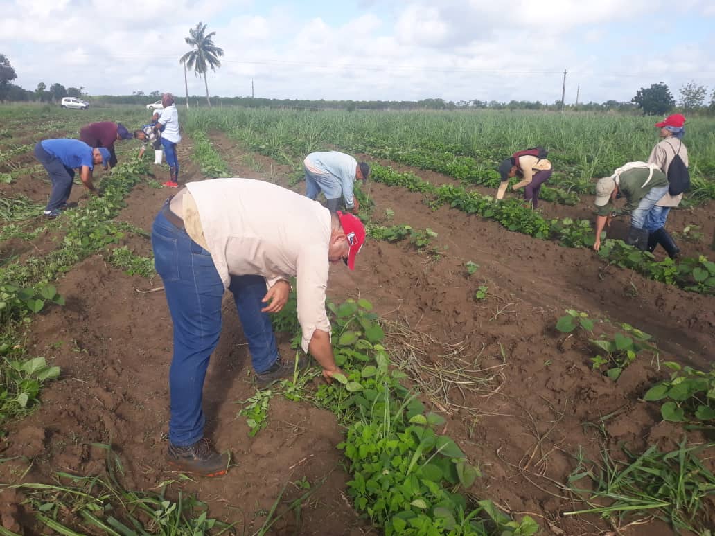soberanía alimentaria en Morón