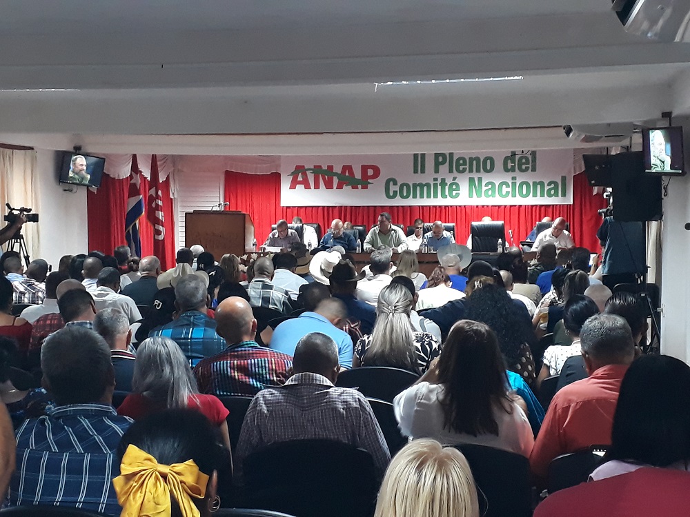 ANAP II PLeno