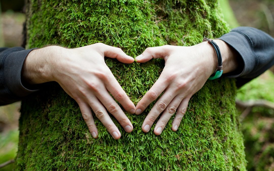 Poder reconfortante de la naturaleza