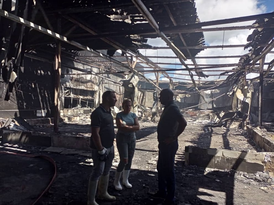 labores de recuperación de industria pinareña