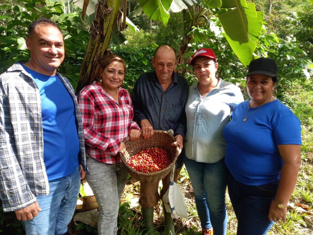 Recogida de Café en cada rincón del Escambray