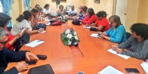 trabajo de base de las comisiones parlamentarias