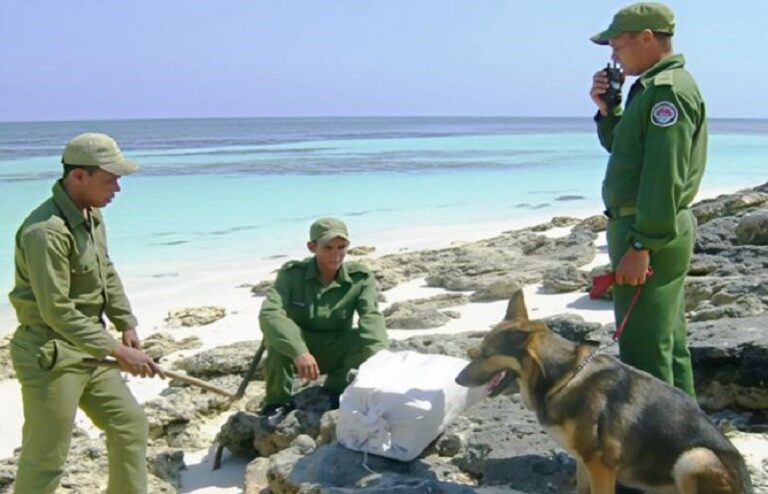 enfrentamiento al narcotráfico