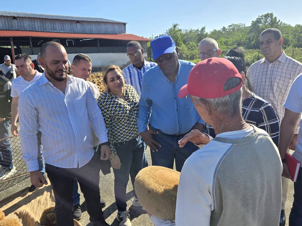 Valdés Mesa en visita de trabajo a Villa Clara