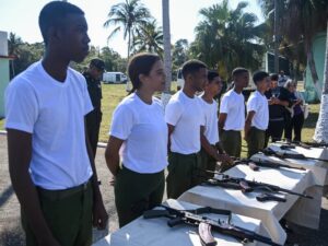 Día Nacional de la defensa