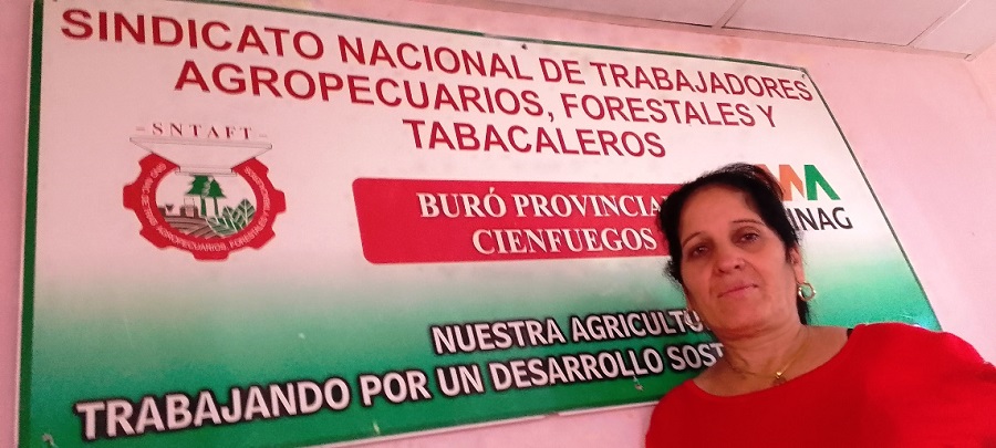 Los agropecuarios cienfuegueros por garantizar la alimentación del pueblo