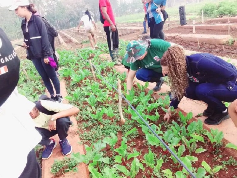 Juventud avileña protagoniza jornada de trabajo voluntario
