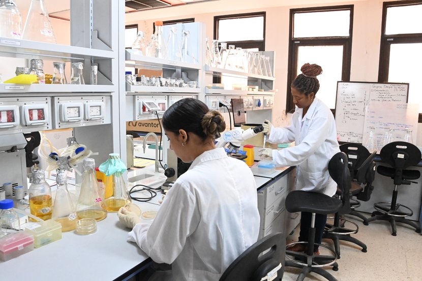 Jusvinza vs Chikungunya: un medicamento seguro y altamente eficaz