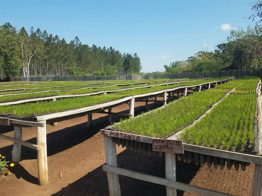 Empresa Agroforestal Villa Clara hacia la soberanía energética