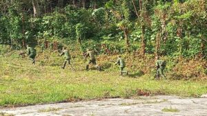 Ejercicios estratégicos de defensa en las montañas villaclareñas