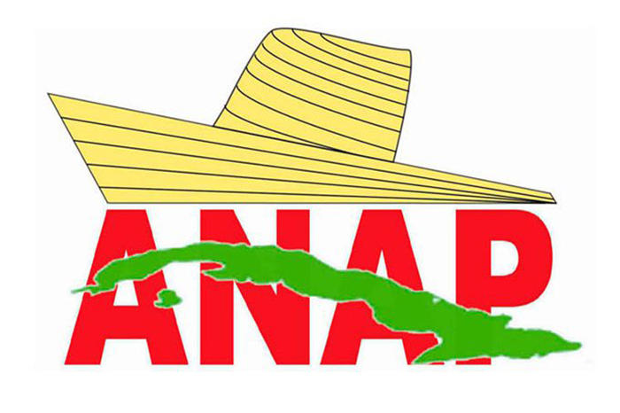 Anap