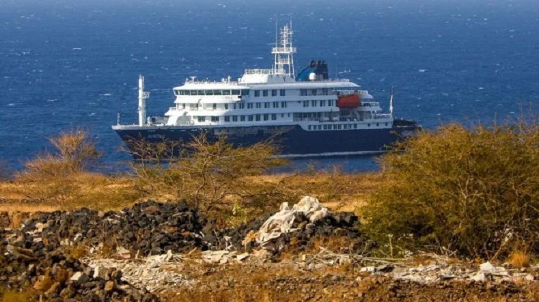 Brote de hantavirus en el crucero Hondius