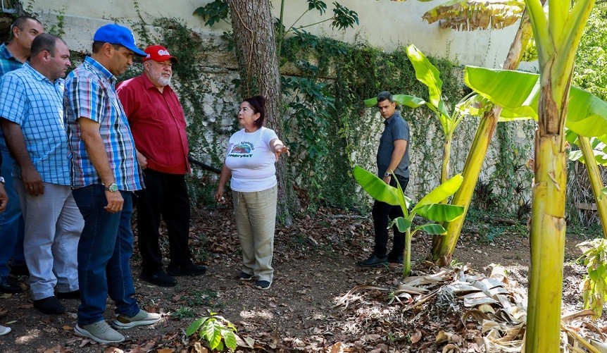 Producir alimentos con recursos endógenos