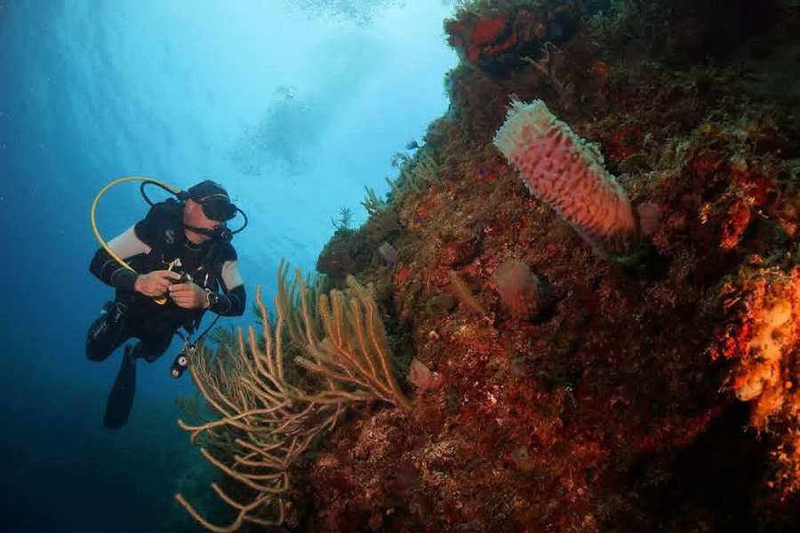Gestión climática y resiliencia en la costa norte villaclareña