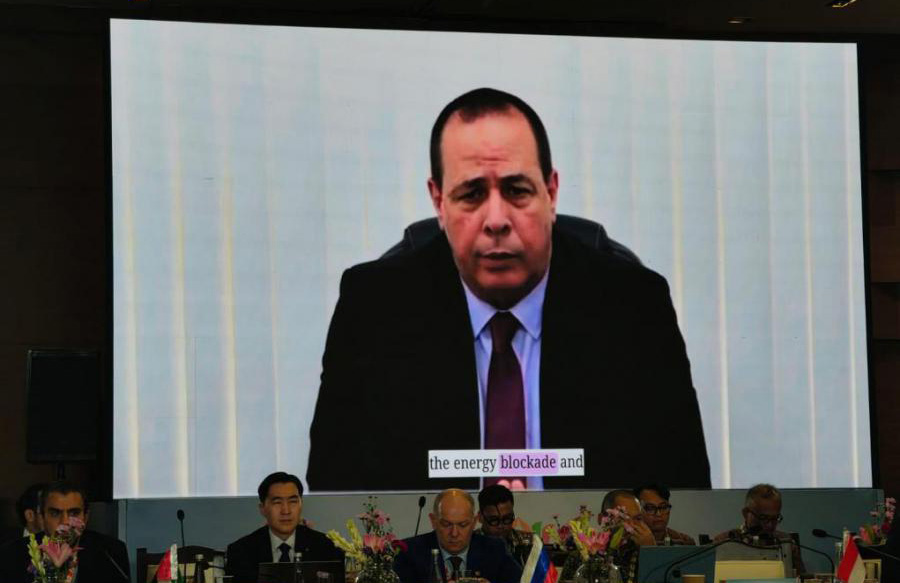 Denuncia Cuba efectos del bloqueo en reunión de Salud de los BRICS