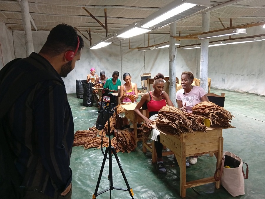 Finca La Vigía: más que el olor a carbón y a tabaco pinareño