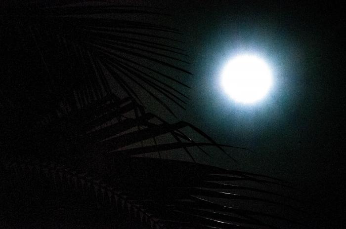eclipse parcial de Luna