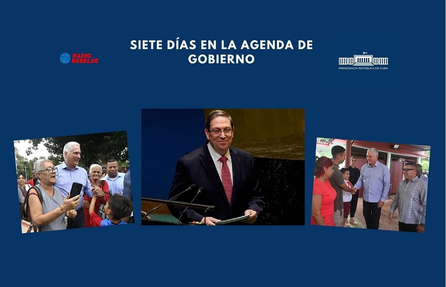 agenda de gobierno