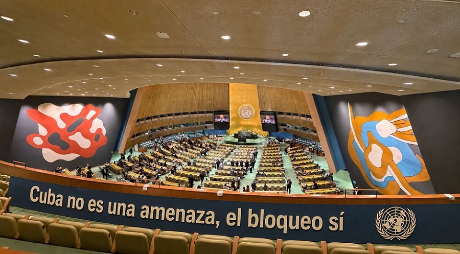 Asamblea General de la ONU